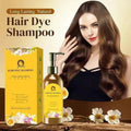 Hair dye hair color shampoo